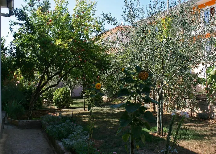With A Parking Space - 6985 Appartement
