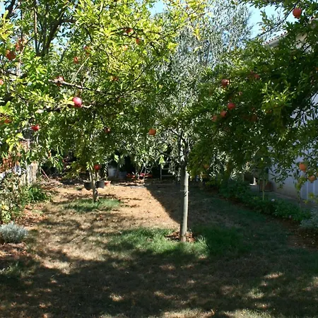 Apartments With A Parking Space Pula - 6985 * Pula