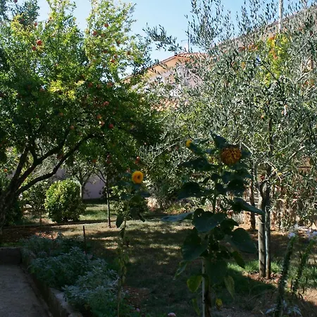 With A Parking Space - 6985 Apartmán