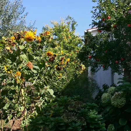 Apartment Apartments With A Parking Space Pula - 6985 Pula